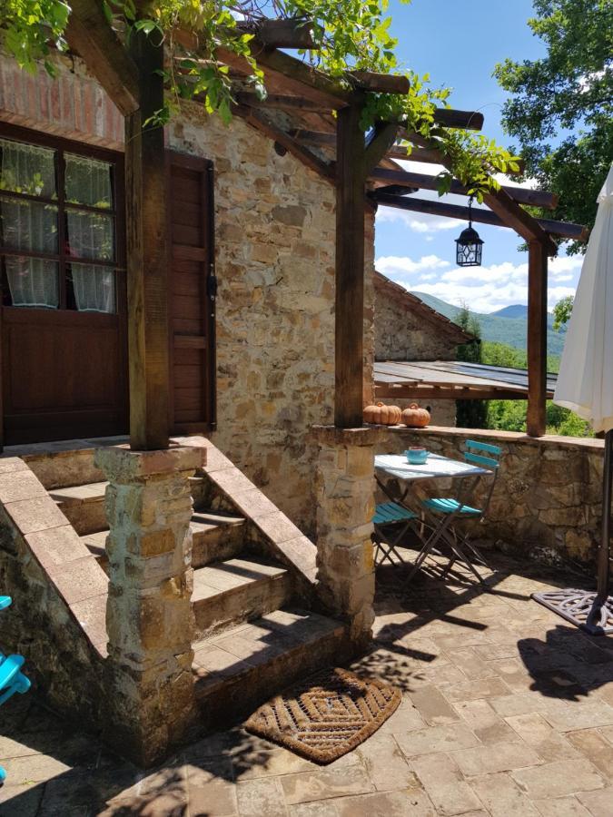 Podere Piandicava Кастельнуово-ди-Валь-ди-Чечина Экстерьер фото