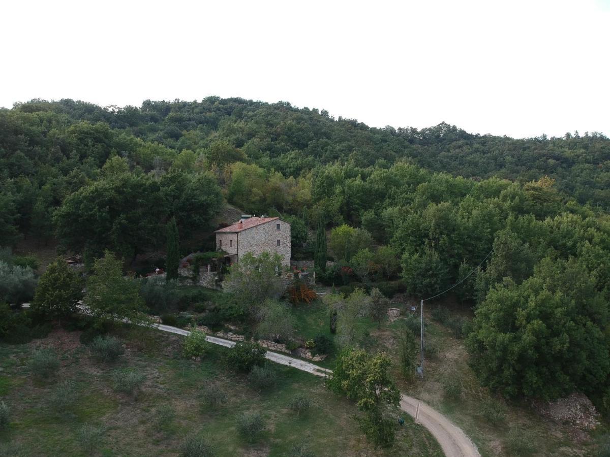 Podere Piandicava Кастельнуово-ди-Валь-ди-Чечина Экстерьер фото