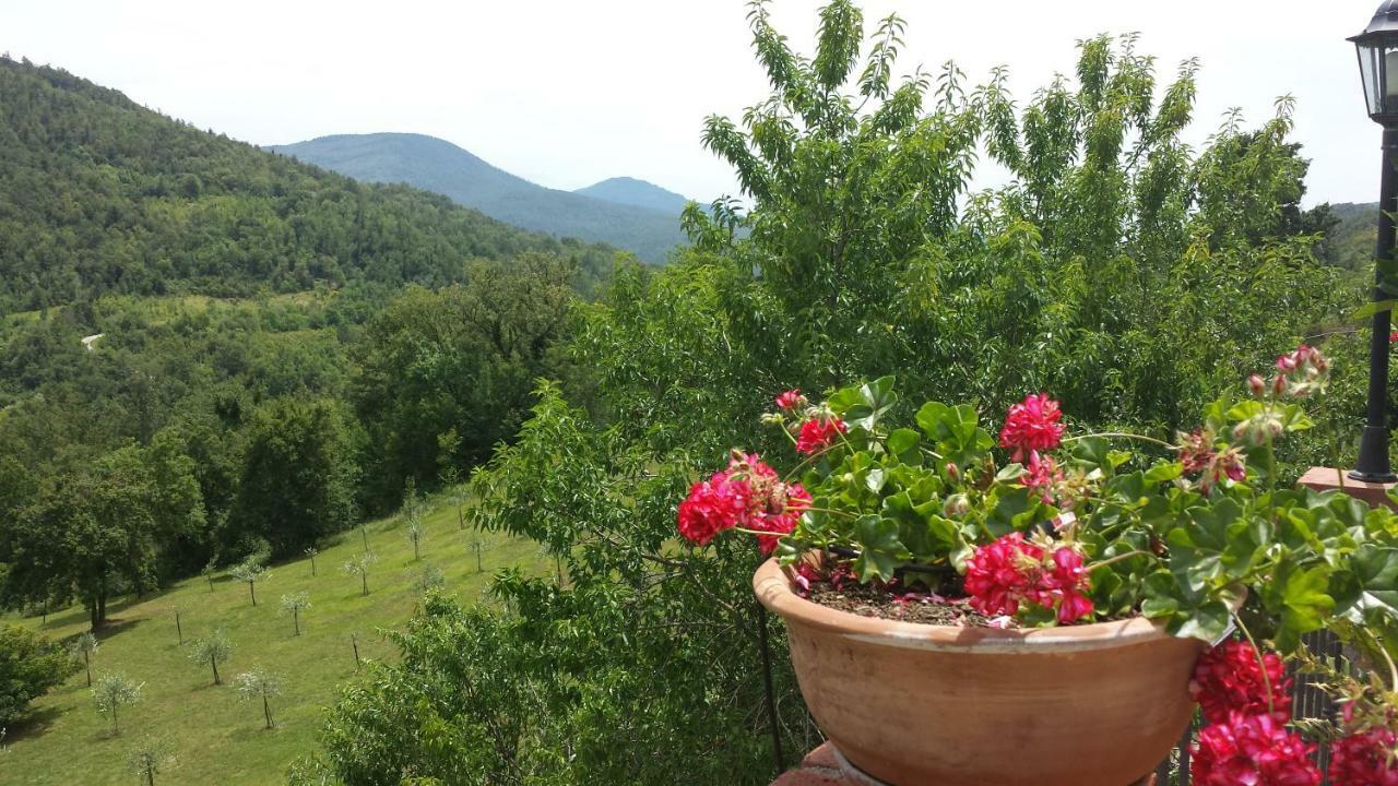 Podere Piandicava Кастельнуово-ди-Валь-ди-Чечина Экстерьер фото